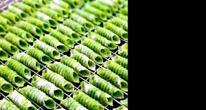 Homemade Spinach Pasta