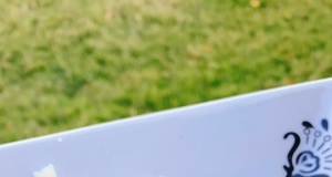 Crunchy Lemon-Garlic-Parmesan Chicken Tenders