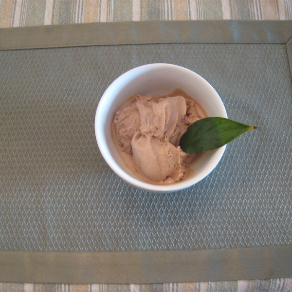 Easy Chocolate Ice Cream