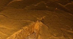 Pumpkin Pie No-Bake Cheesecake