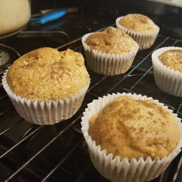 Hunnybunch's Special Apple Muffins