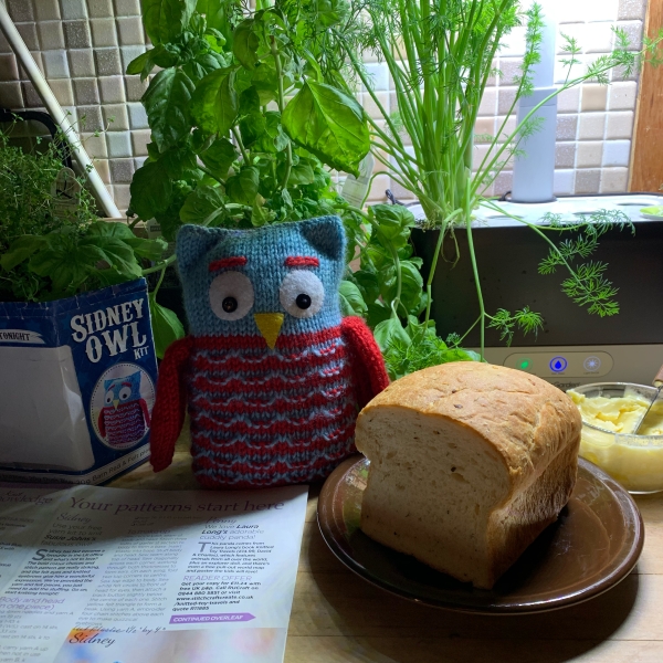 Cottage Dill Bread