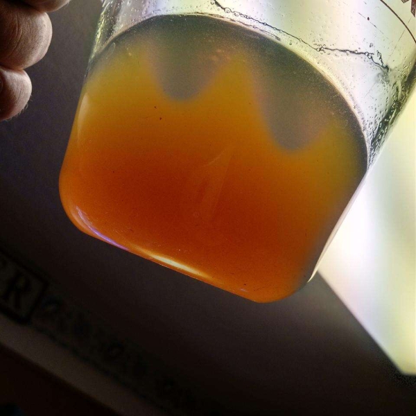 Lithuanian Krupnikas