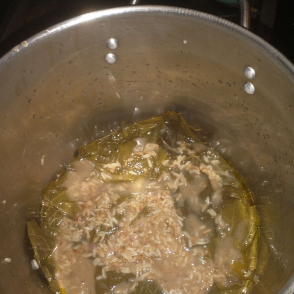 My Own Famous Stuffed Grape Leaves