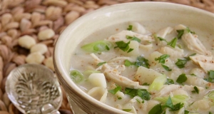 Creamy Shell Soup