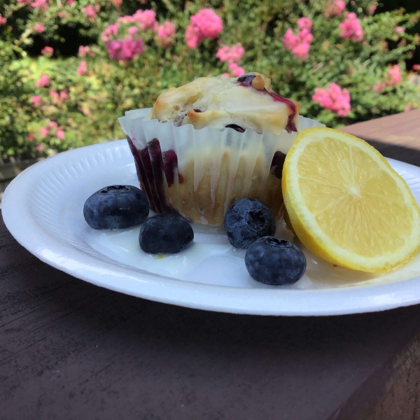 Blueberry Nut Muffins