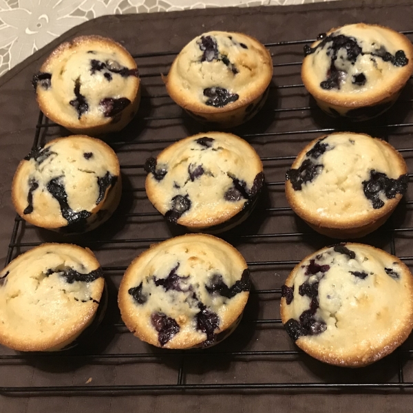 Easy Blueberry Muffins