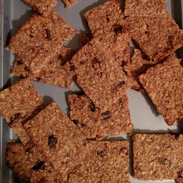 Vegan Coconut-Oat Bars