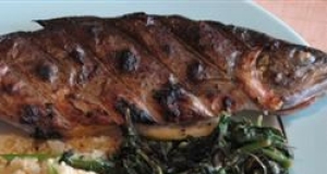 Trout with Fiddlehead Ferns