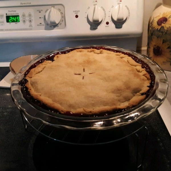Wild Blackberry Pie