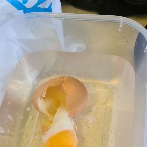 Soft-Boiled Eggs in the Microwave