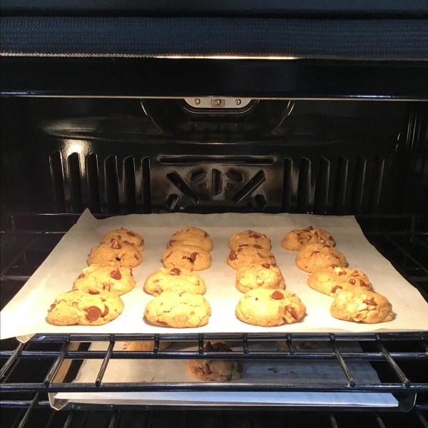 Best Ever Chocolate Chip Cookies II