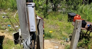 Creamy Goat Cheese and Honey