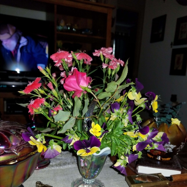 Creamy Goat Cheese and Honey