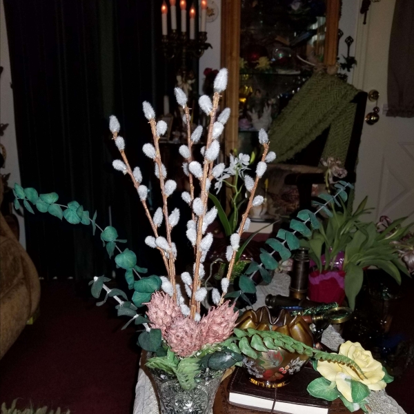 Creamy Goat Cheese and Honey