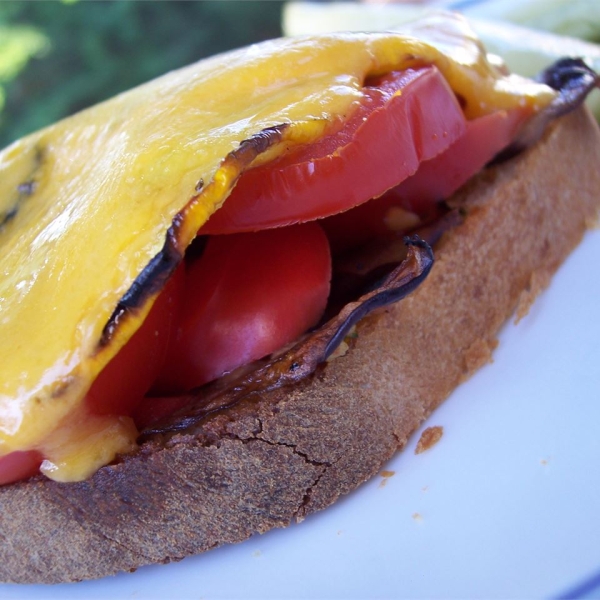 Vegetarian Open Faced Sandwich