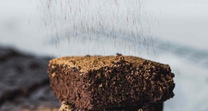 Vegan Brownies