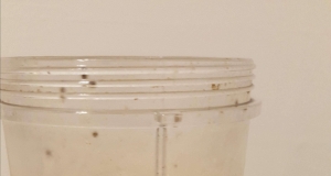 The Best Post-Workout Shake