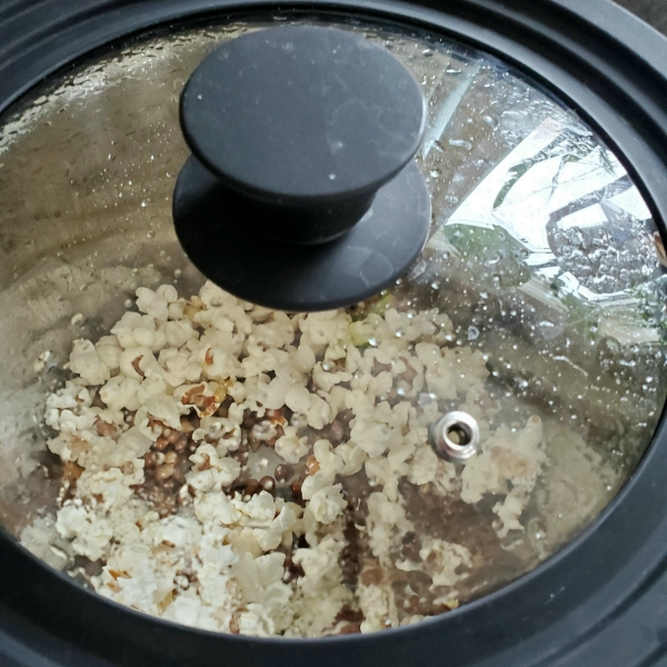 Instant Pot Popcorn
