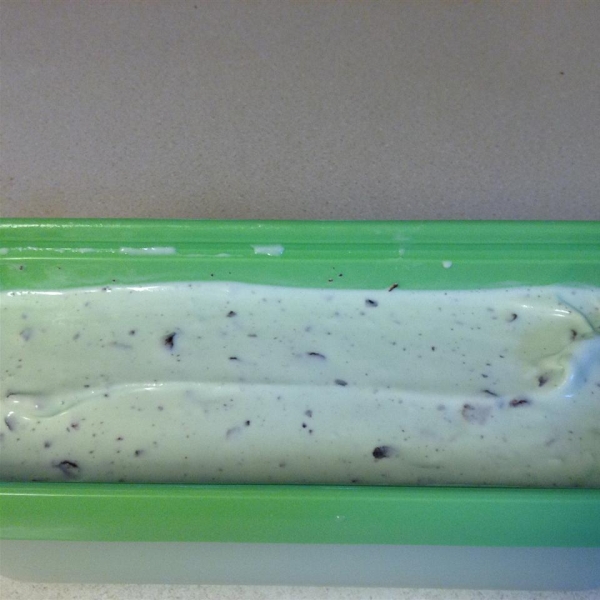 Homemade Mint Chocolate Chip Ice Cream