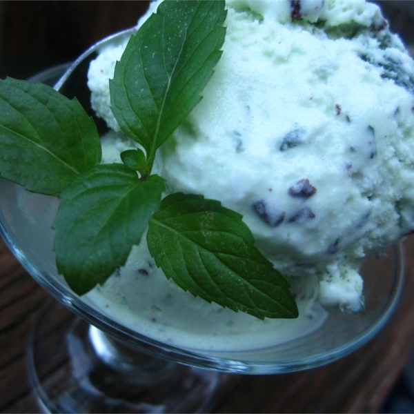 Homemade Mint Chocolate Chip Ice Cream
