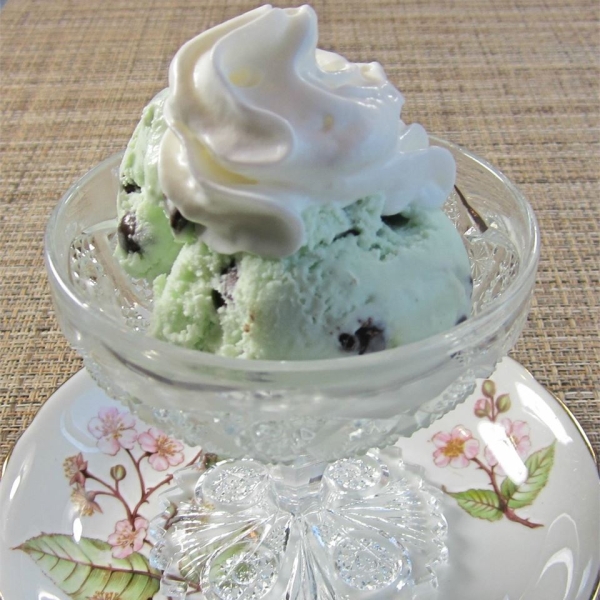 Homemade Mint Chocolate Chip Ice Cream