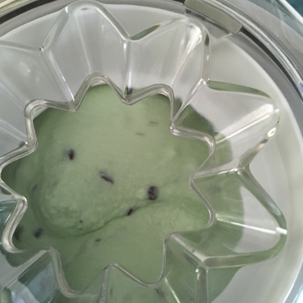 Homemade Mint Chocolate Chip Ice Cream
