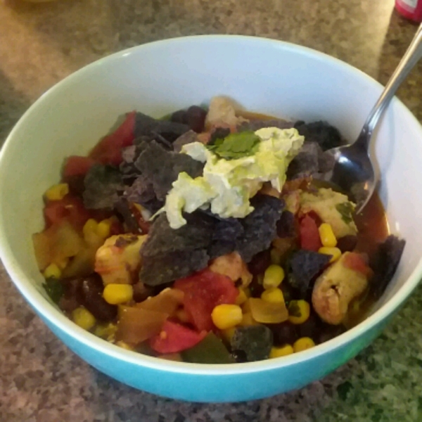 Spicy Mexican Tortilla Soup
