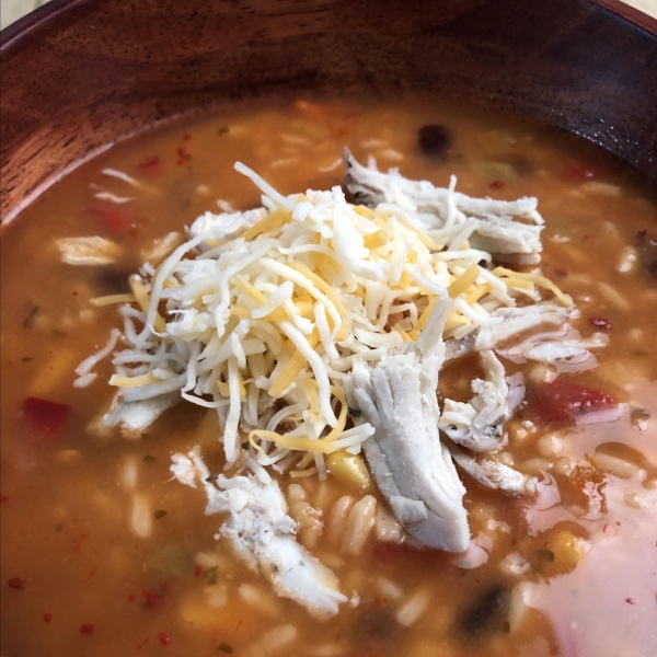 Spicy Mexican Tortilla Soup