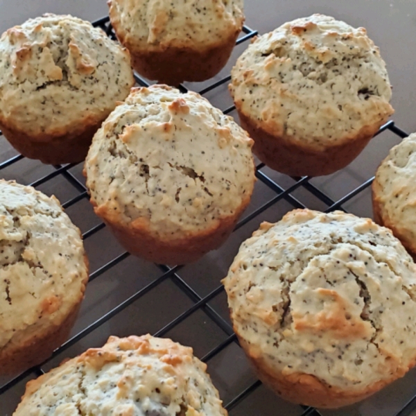 Double Oat Raisin Poppyseed Muffins