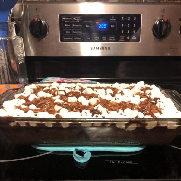 Mississippi Mud Cake II