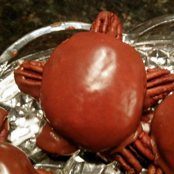 Snappy Turtle Cookies