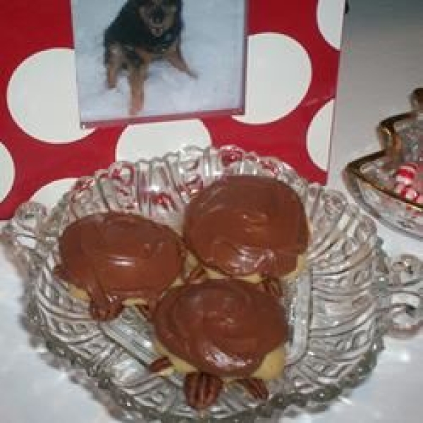 Snappy Turtle Cookies