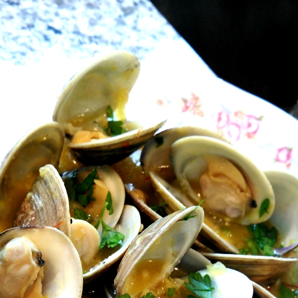 Sailor Clams