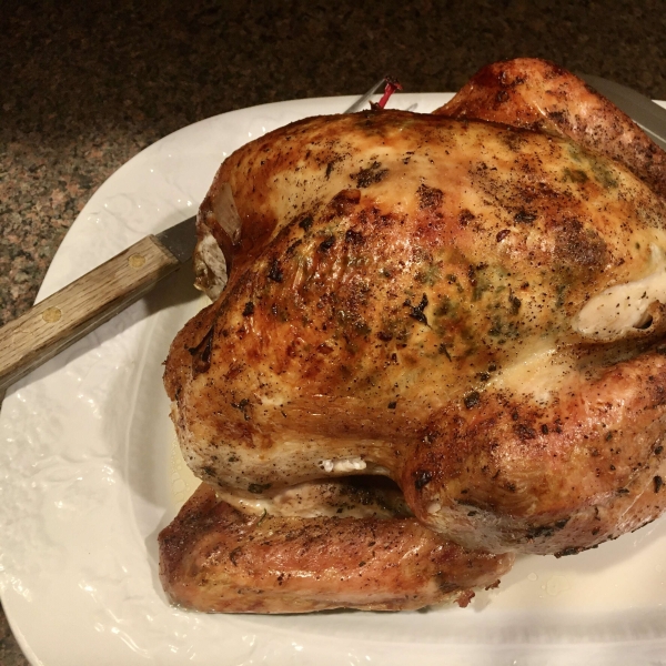 Chef John's Roast Turkey and Gravy