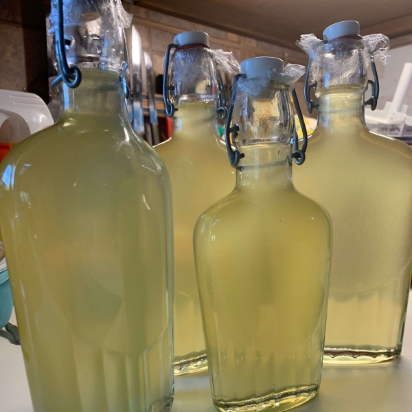 Homemade Limoncello