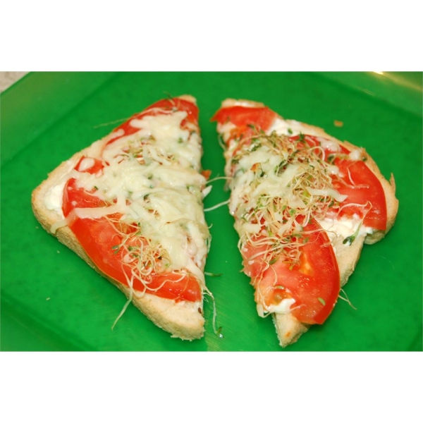Most Excellent Sandwich