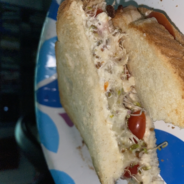 Most Excellent Sandwich