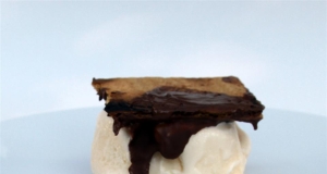 Grilled S'mores Ice Cream Sandwiches