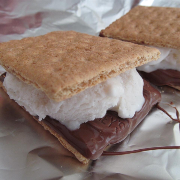 Grilled S'mores Ice Cream Sandwiches