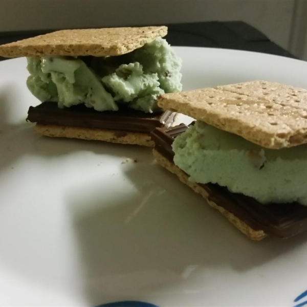 Grilled S'mores Ice Cream Sandwiches