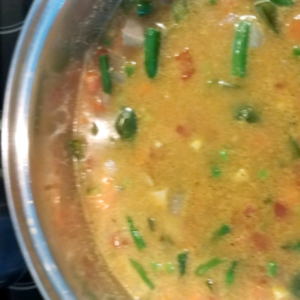 Chili Chicken Stew