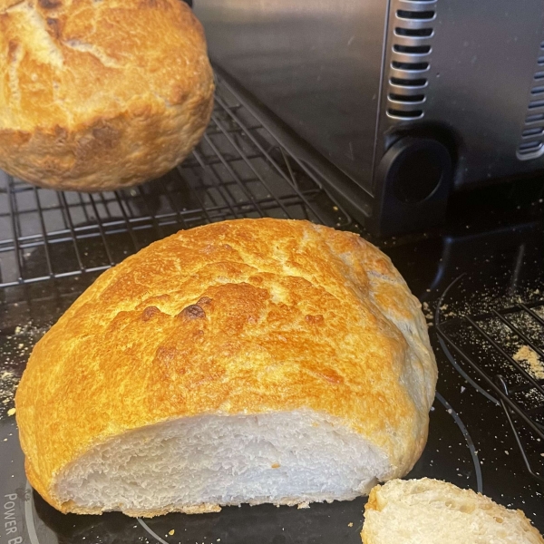 Better-Than-Bakery No-Knead Sourdough