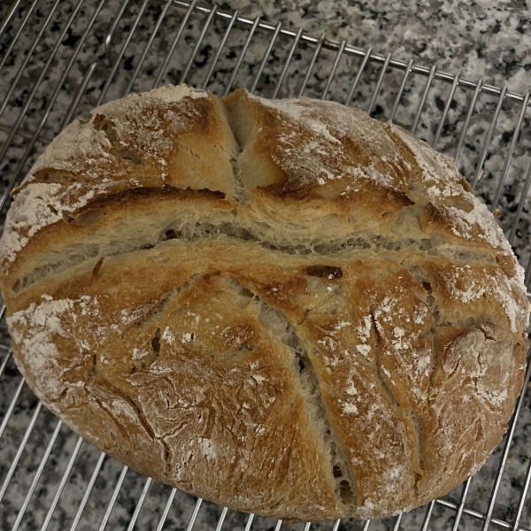 Better-Than-Bakery No-Knead Sourdough