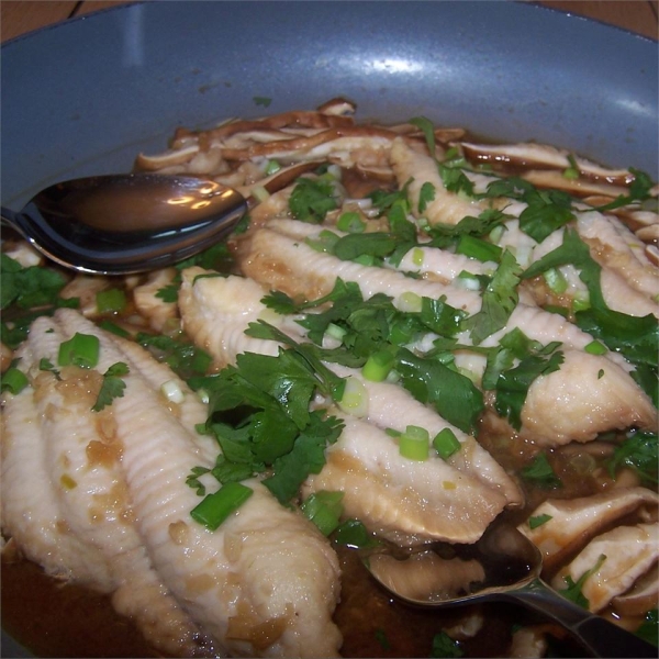 Asian Ginger Catfish