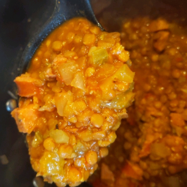Tomato-Curry Lentil Stew