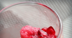 Hearty Tarty Hibiscus Granita