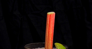 Refreshing Summer Rhubarb Slushy