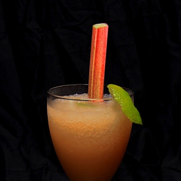 Refreshing Summer Rhubarb Slushy