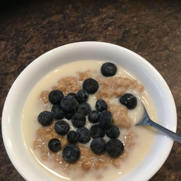 Instant Pot Oatmeal